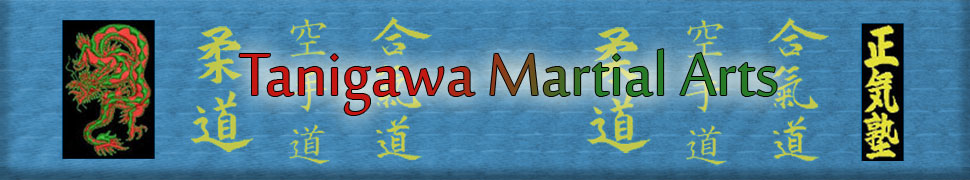 Tanigawa Martial Arts Banner