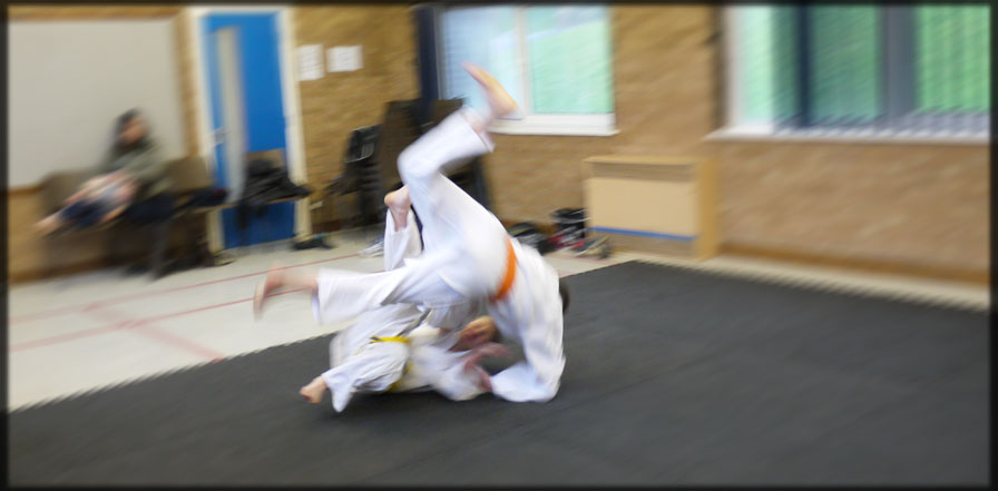 Judo Throw Roll